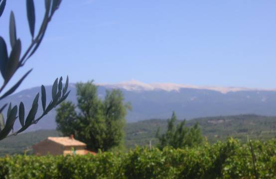 Uitzicht op de Mont Ventoux vanaf het domein