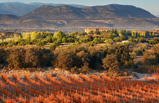 Het domein tussen de herfstige wijngaarden